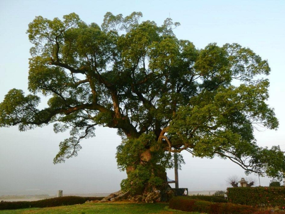 �������́A���R�ɗD�����������������܂��B